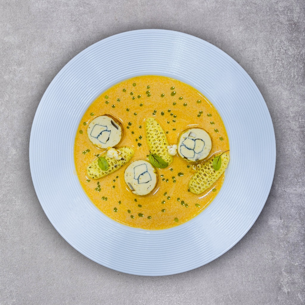 Papricaș de pui reinterpretat