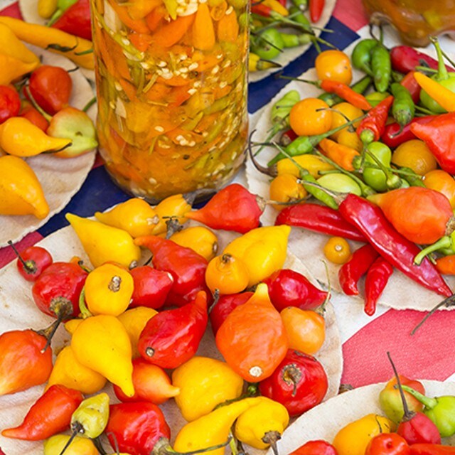 Pietele locale din Sao Paulo