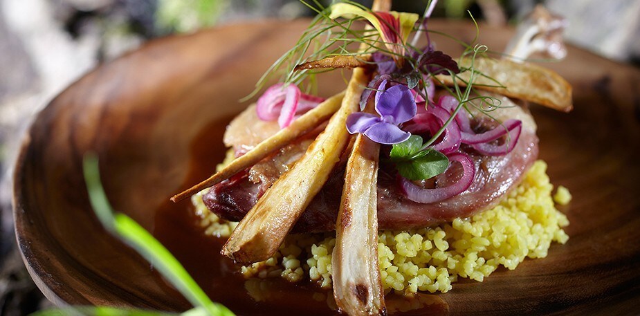 Pulpa de rata confit cu salata Pulpa de rata confit cu salata