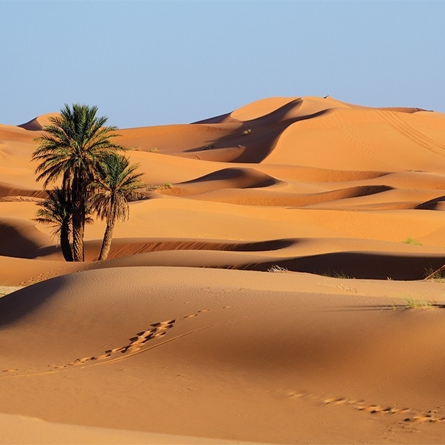 Curiozitati ale bucatariei marocane