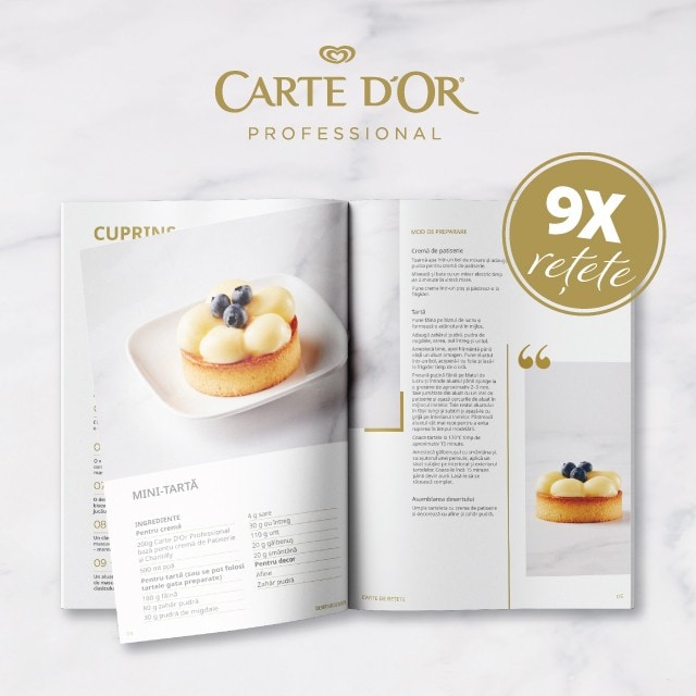 Descarcă gratuit broșura “CREAȚII FĂRĂ LIMITE” 