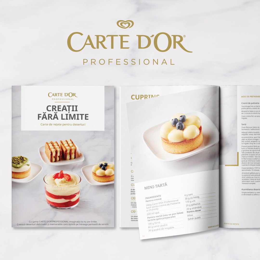 Broșura “CREAȚII FĂRĂ LIMITE”