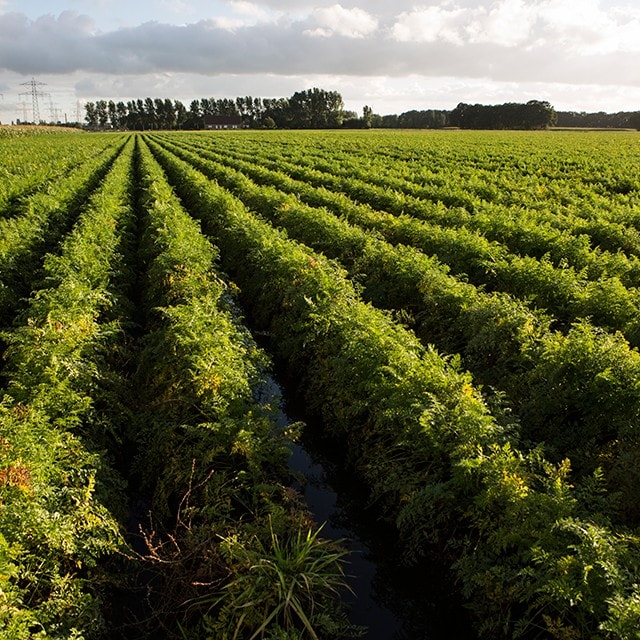 Indicatori pentru agricultura sustenabila