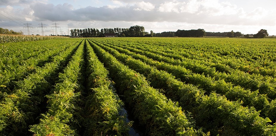 Indicatori pentru agricultura sustenabila