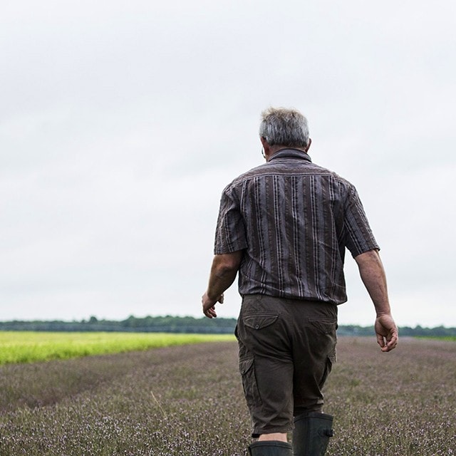 Protejeaza-ti ferma prin incurajarea biodiversitatii