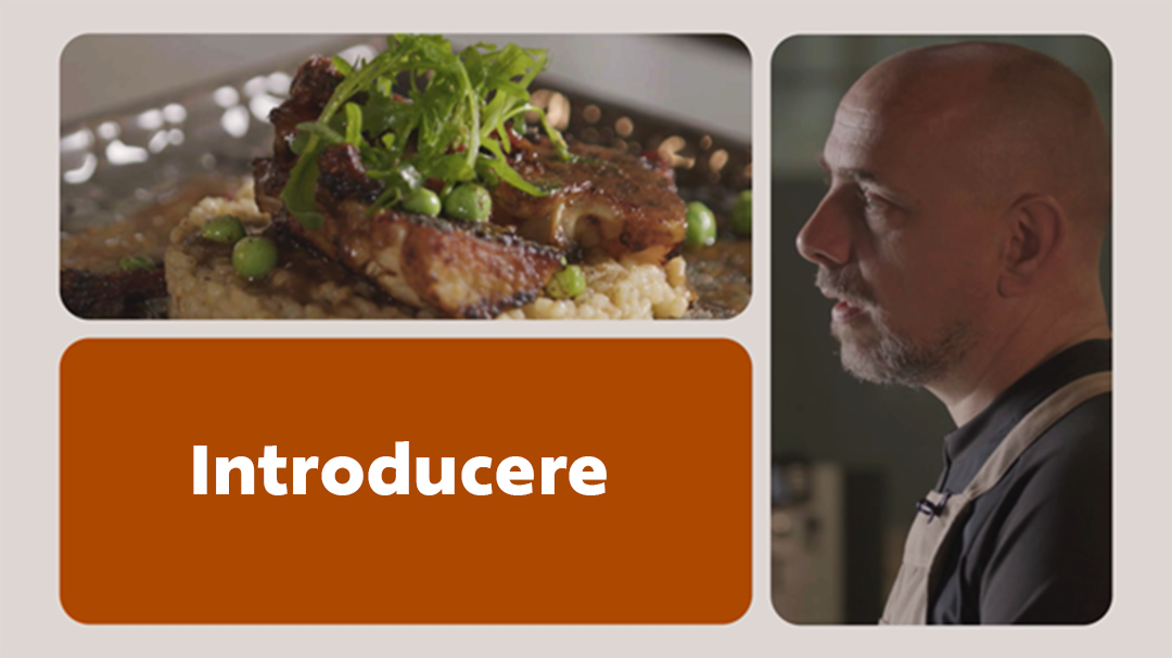 UFS Academy Legume Irezistibile