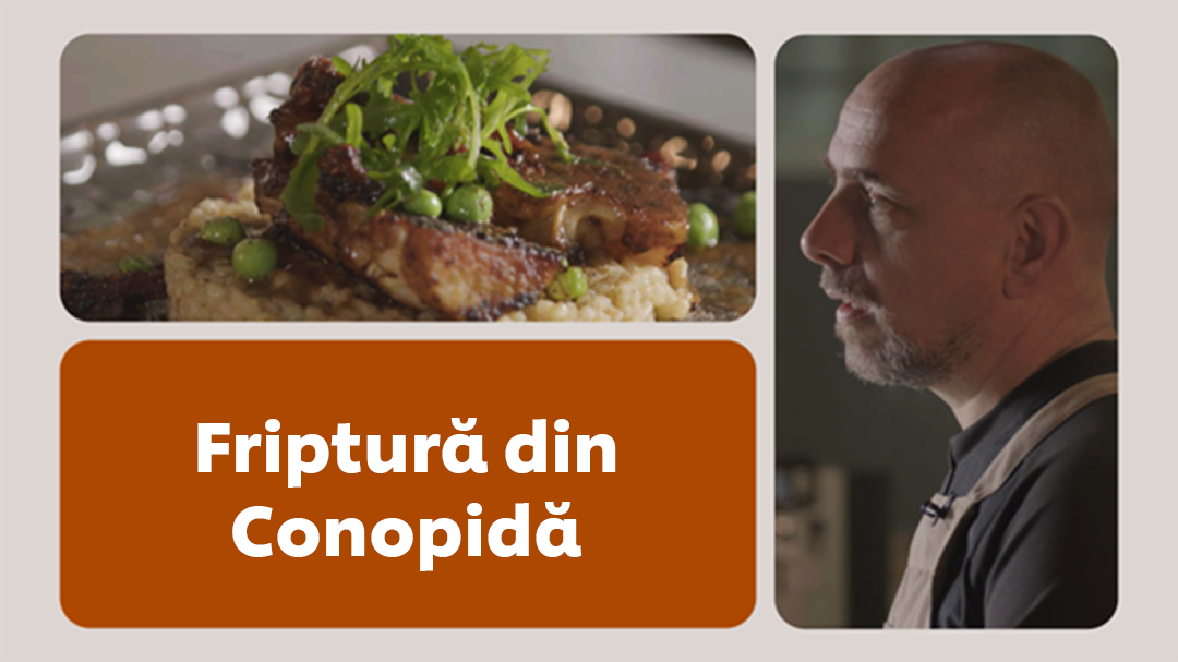 UFS Academy Legume Irezistibile