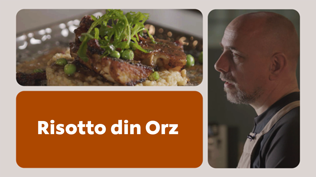 UFS Academy Legume Irezistibile