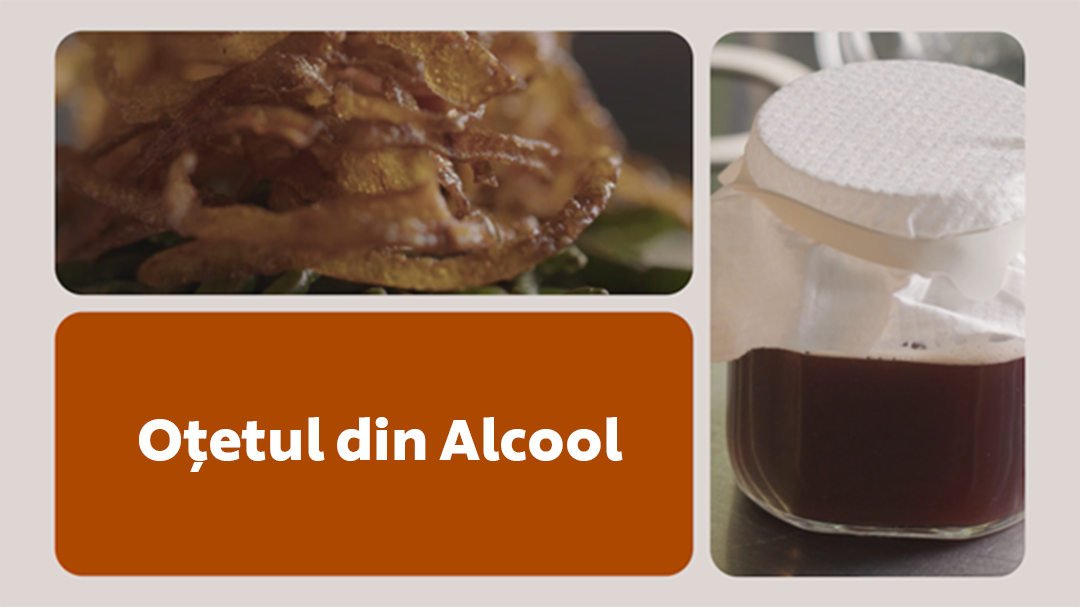 UFS Academy Reducerea Risipei Alimentare