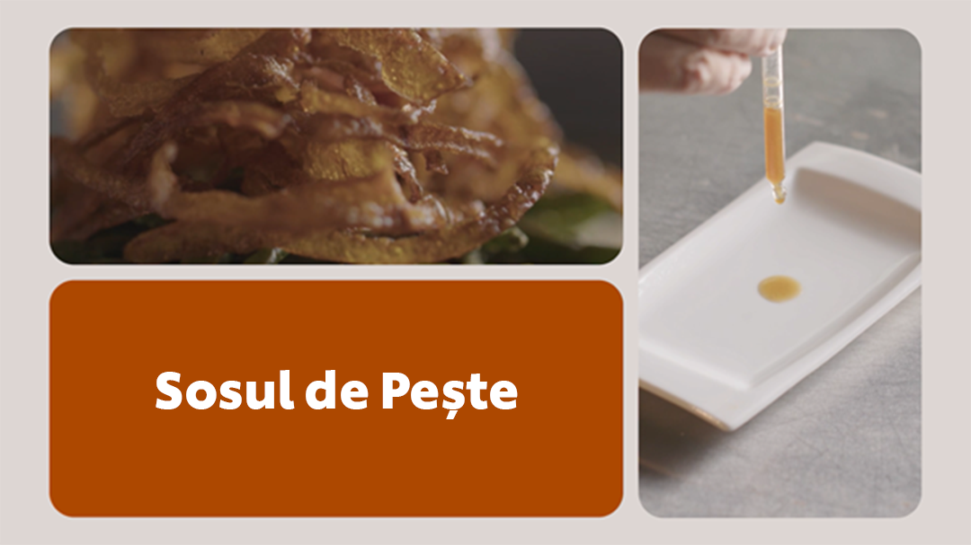 UFS Academy Reducerea Risipei Alimentare