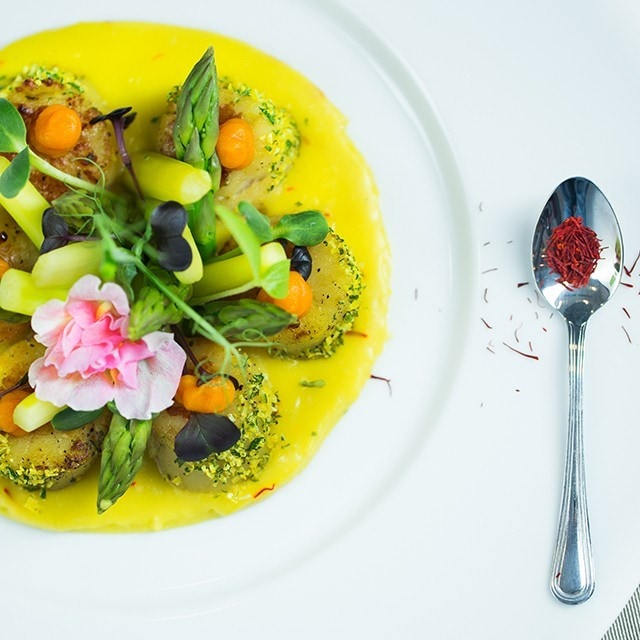 Lansare proiect UniChef 2016